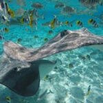 Bora Bora: Lagoon Tour and Snorkeling Experience - The Itinerary in Detail