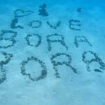 Bora Bora: Private 1/2 day lagoon safari tour - The Practical Side: Booking, Pricing, and Considerations