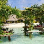 Bora Bora Private Departure Hotels to Airport Transfer - The Value of a Private, Luxurious Transfer