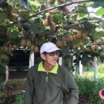 Boutique tour , Mt Maunganui, NZ farm, Rotorua lakes/geothermal - A Closer Look at the Itinerary