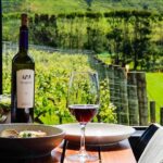 Boutique Waiheke Island Wine, Gin and Food Tour - FAQs