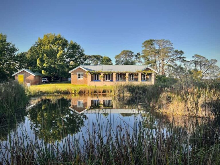 Bowral Honey Farm Tour, Honey Tasting & morning Tea - What Visitors Are Saying