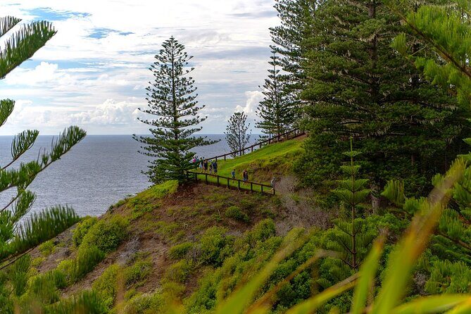 Breakfast Bushwalk in Norfolk Island - Practical Details