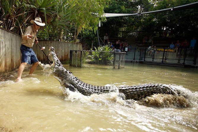 Breakfast with the Koalas at Hartley's Crocodile Park from Cairns or Palm Cove - Who Will Enjoy This Tour?