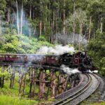 Brighton Bath Boxes & Puffing Billy & Penguin Parade 1-Day Tour - Transportation and Group Size