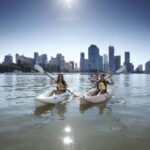 Brisbane: 2-Hour Kayak Hire on Brisbane River - What Makes This Kayaking Experience Special?