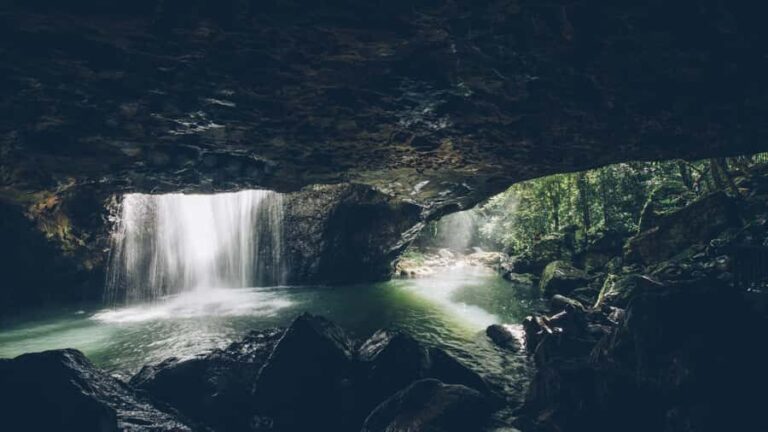 Brisbane: 6 Waterfalls, Koalas & Natural Bridge Day Tour - What Sets This Tour Apart?