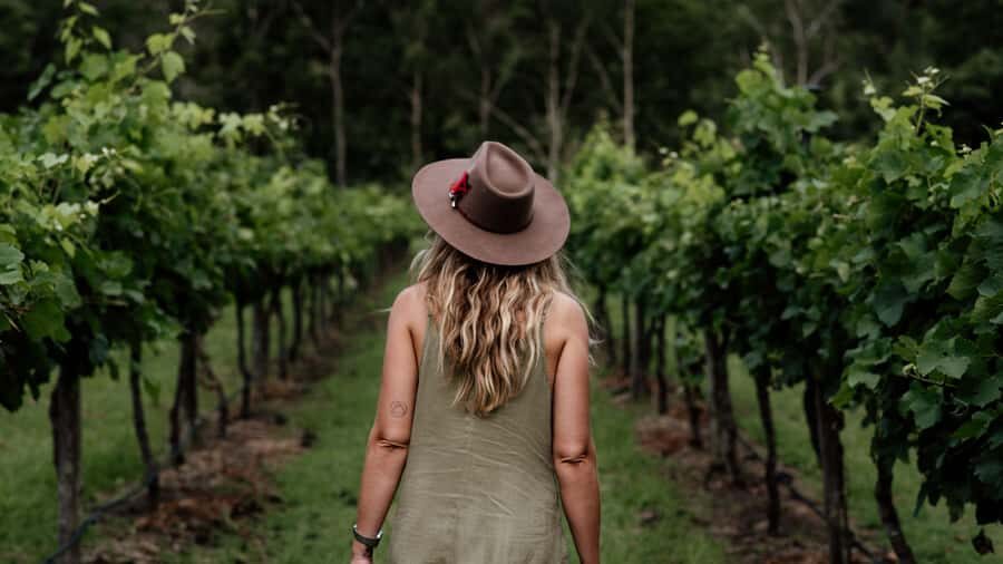 Brisbane: Boutique Winery Tour with Gourmet Lunch - The Winery Visits: Three in Total