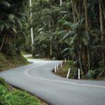 Brisbane: Daytime Glow Worm Caves Hop-on Hop-off Bus Tour - The Glow Worm Caves: A Bright Idea in the Daylight