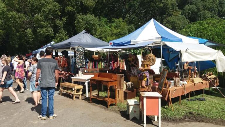 Brisbane: Eumundi Markets, Noosa Gems & Afternoon Cruise - Transportation & Group Size