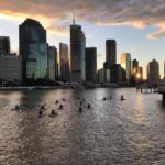 Brisbane: Illuminated River Night Kayak Tour - What You Can Expect