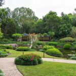 Brisbane Insights Tour - Final Thoughts: Is the Brisbane Insights Tour Worth It?