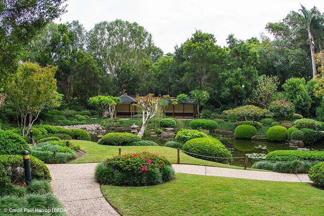 Brisbane Insights Tour - Final Thoughts: Is the Brisbane Insights Tour Worth It?