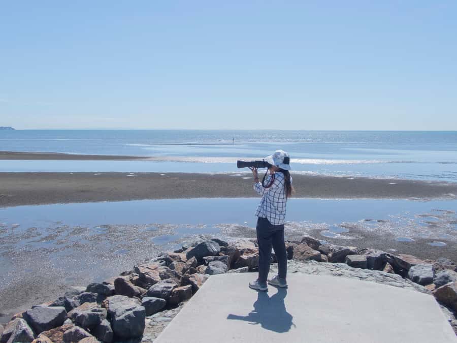 Brisbane: Kangaroos, Birds and Mangroves Coastal Tour - What’s Included, and What You Should Bring