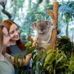 Brisbane: Lone Pine Koala Sanctuary Day Pass - What the Reviews Say