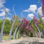 Brisbane Must-See Attractions Guided Tour - Who Would Love This Tour?