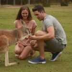 Brisbane River Cruise and Koala Sanctuary Visit - What Makes This Tour Worth Your Time?