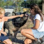 Brisbane: Trevena Glen Farm 1hr Animal Experience - Key Points