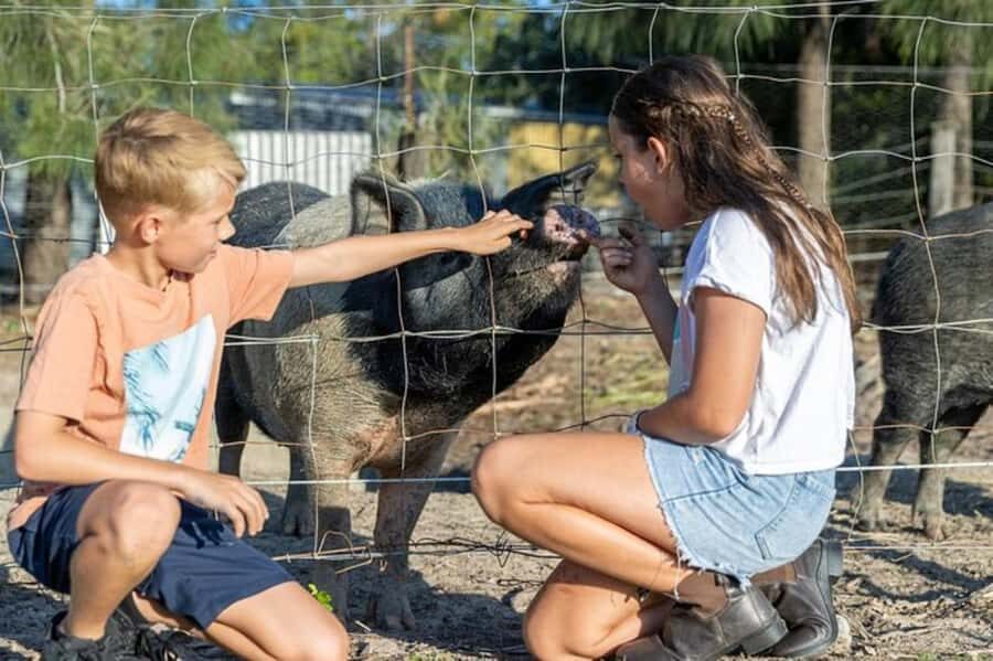 Brisbane: Trevena Glen Farm 1hr Animal Experience - Key Points