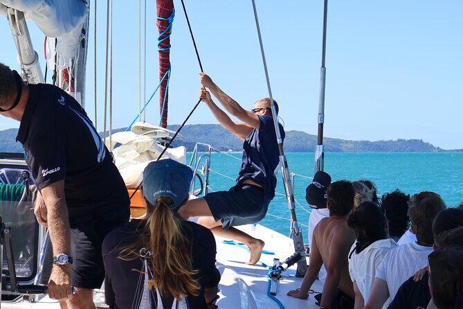 British Defender 3D2N Whitsunday Snorkelling Sailing Adventure - Why the Tours Are Worth It