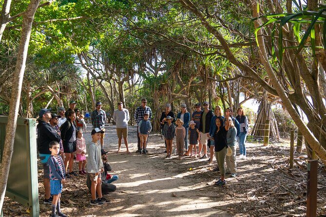 Broken Head Aboriginal Tour - Authenticity and Reviews: What Travelers Say