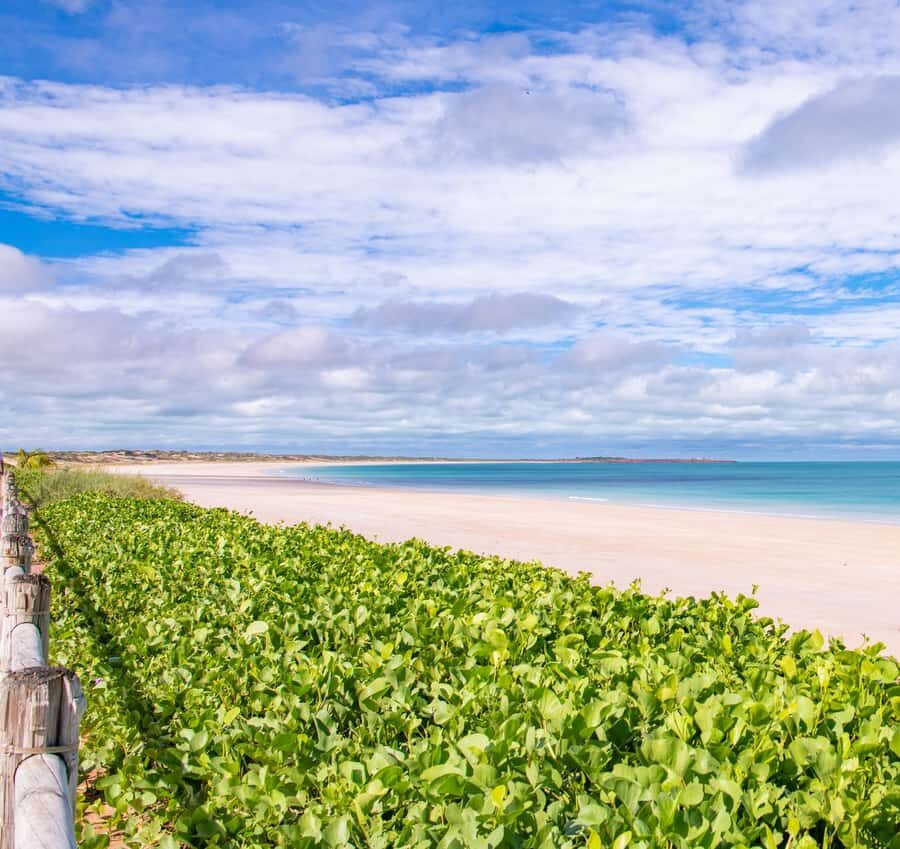 Broome: Panoramic and Discovery - Morning Tour w/ Transfers - What You’ll Love About This Tour