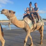 Broome Pre-sunset Camel Tour 30 minutes - What to Expect During the Tour