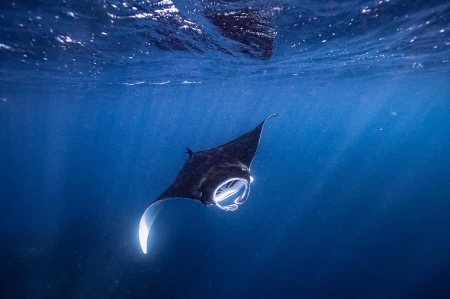 Brunswick Heads: Snorkelling in Byron Bay - The Onboard Experience