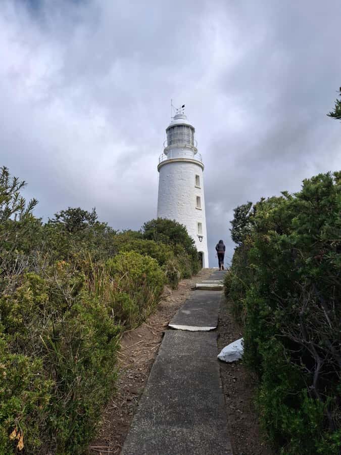 Bruny Island: Cape Bruny Lighthouse Tour - What the Tour Includes and What to Expect
