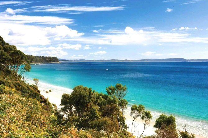 Bruny Island Day Tour Private Charter Service 3 days in advance - A Closer Look at the Itinerary and What to Expect