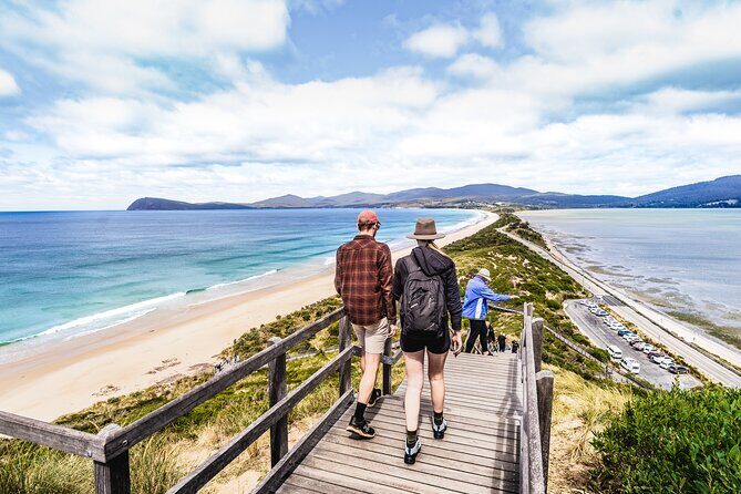 Bruny Island Food, Sightseeing, Guided Lighthouse Tour & Lunch - What Reviewers Say