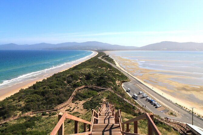 Bruny Island Small-Group Guided Tour From Hobart - Who Should Take This Tour?