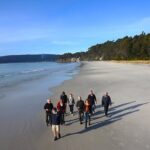 Bruny Island Traveller - Gourmet Tasting and Sightseeing Day Trip from Hobart - Food and Tastings