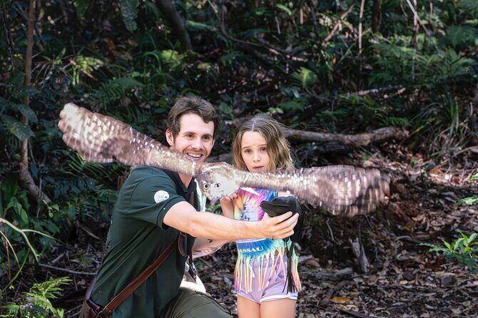 Buderim Forest Flight Owl Encounter and Tour - A Detailed Look at the Buderim Forest Flight Owl Encounter