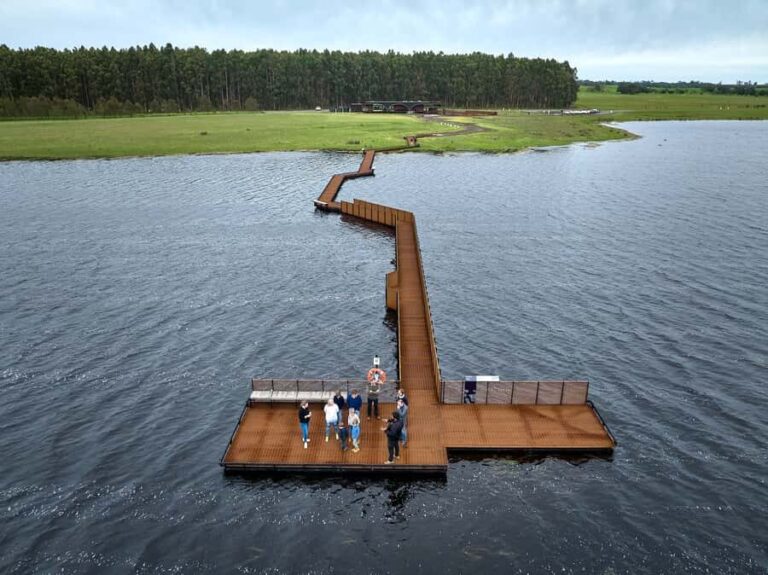 Budj Bim: Tae Rak Wetlands 2 Hour Guided Cultural Tour - The Experience in Detail