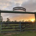 Bundaberg: Family-Friendly Entry Ticket to Splitters Farm - The Itinerary: What to Expect from Start to Finish