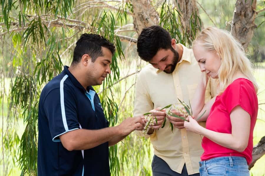 Bundaberg: Half Day Indigenous Experience with Morning Tea - What Sets This Tour Apart?