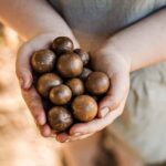 Bundaberg: Macadamia Orchard Tour - Who Will Love This Tour?