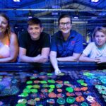 Bundaberg: Monsoon Aquatics Coral Farm Guided Tour - Who Should Consider This Tour?