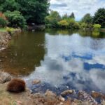 Burnie Attractions Bus - Meeting Point and Logistics