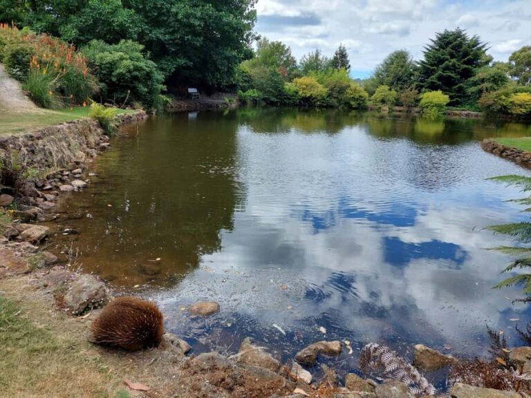 Burnie Attractions Bus - Meeting Point and Logistics