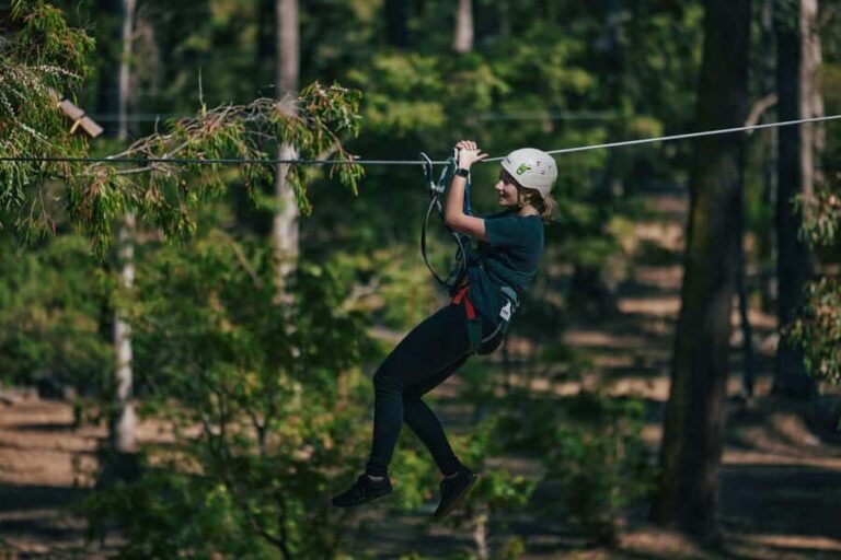 Busselton: Forest Adventure with Zip Lining and Rope Course - What to Expect at Each Stage