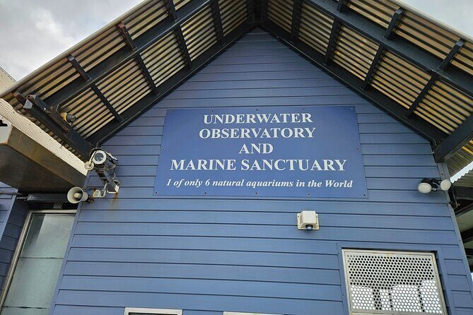 Busselton Jetty and Underwater Observatory - Transportation and Comfort
