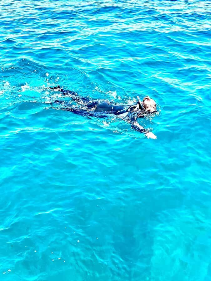 Busselton: Jetty Snorkeling Tour with Underwater Sculptures - Who Will Love This Tour?
