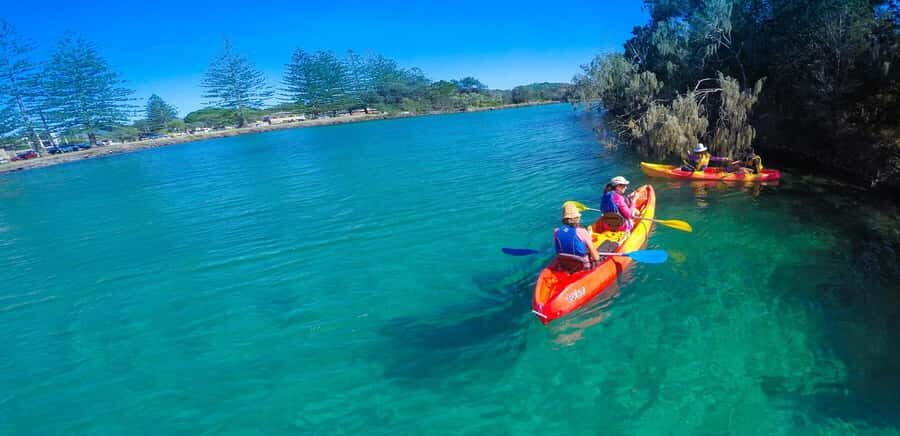 Byron Bay: Brunswick River Scenic Kayak Tour - Who Will Enjoy This Tour?
