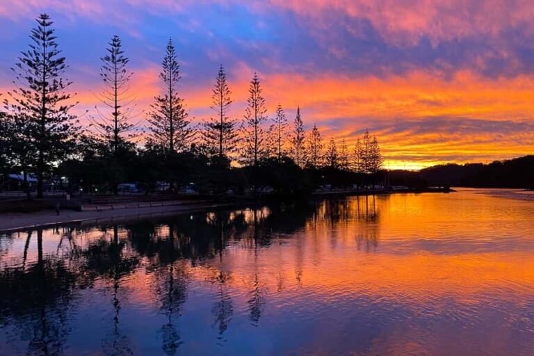 Byron Bay: Brunswick River Sunset Kayak Tour - The Wildlife Encounters
