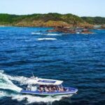 Byron Bay Dolphin Tour - Ocean Safari - Why Reviewers Love It