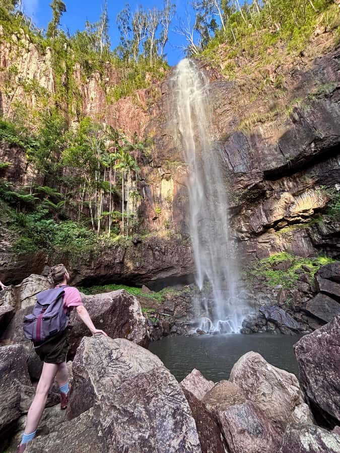 Byron Bay: Glowworms, Waterfalls & Rainforest Experience - What Makes This Tour Stand Out?