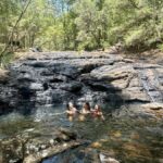 Byron Bay: Rainforest Waterfalls Guided Eco Tour - Who Will Love This Tour?