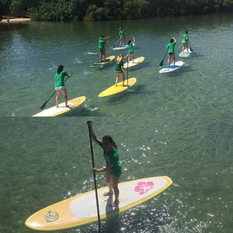 Byron Bay: Stand-Up Paddleboarding Lesson + Transfer - The Itinerary Breakdown: What to Expect
